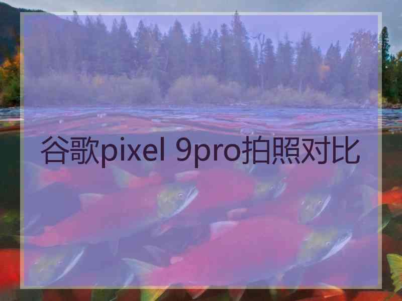 谷歌pixel 9pro拍照对比