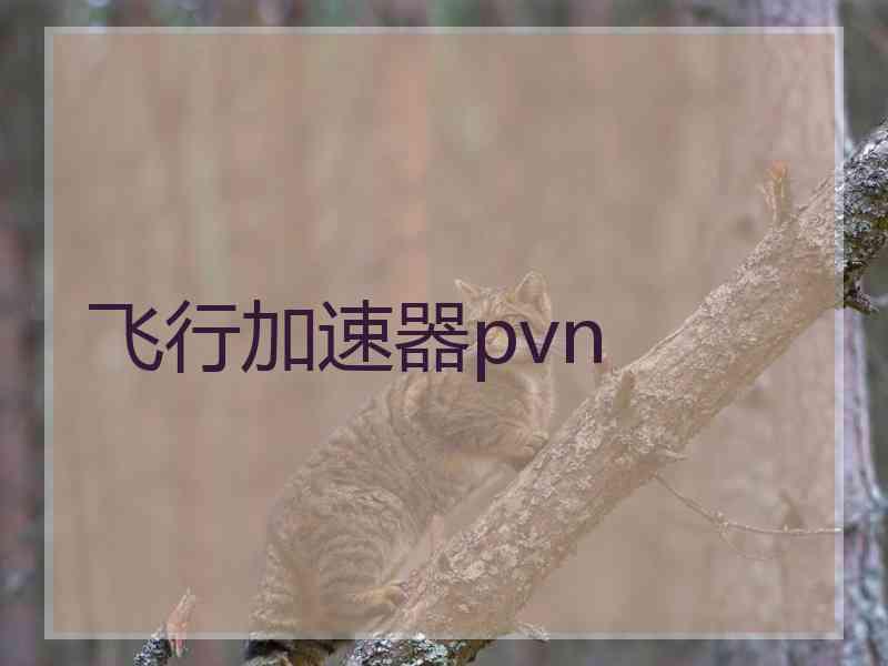 飞行加速器pvn