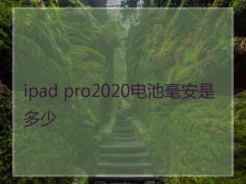 ipad pro2020电池毫安是多少