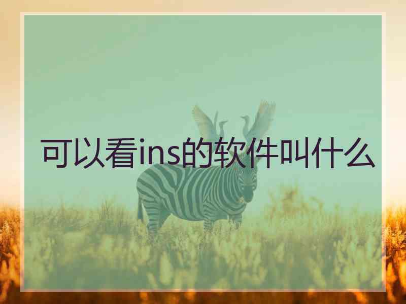 可以看ins的软件叫什么