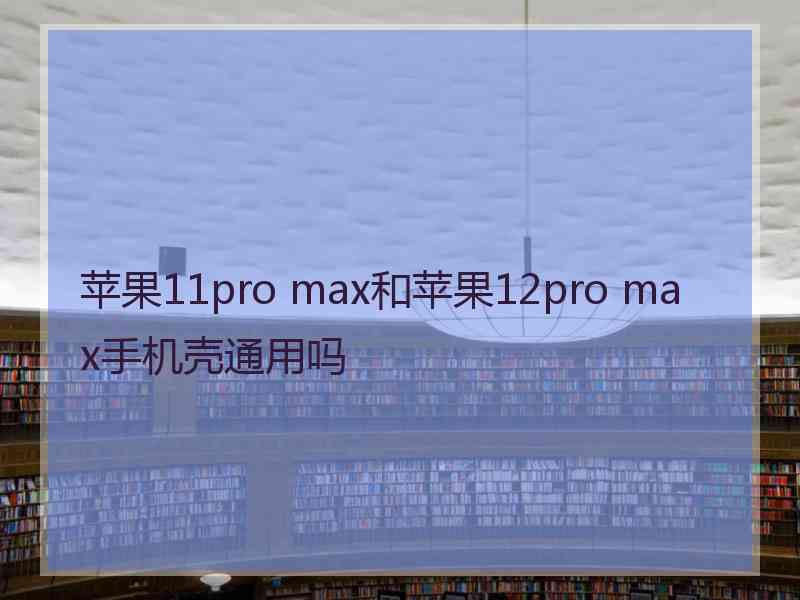 苹果11pro max和苹果12pro max手机壳通用吗