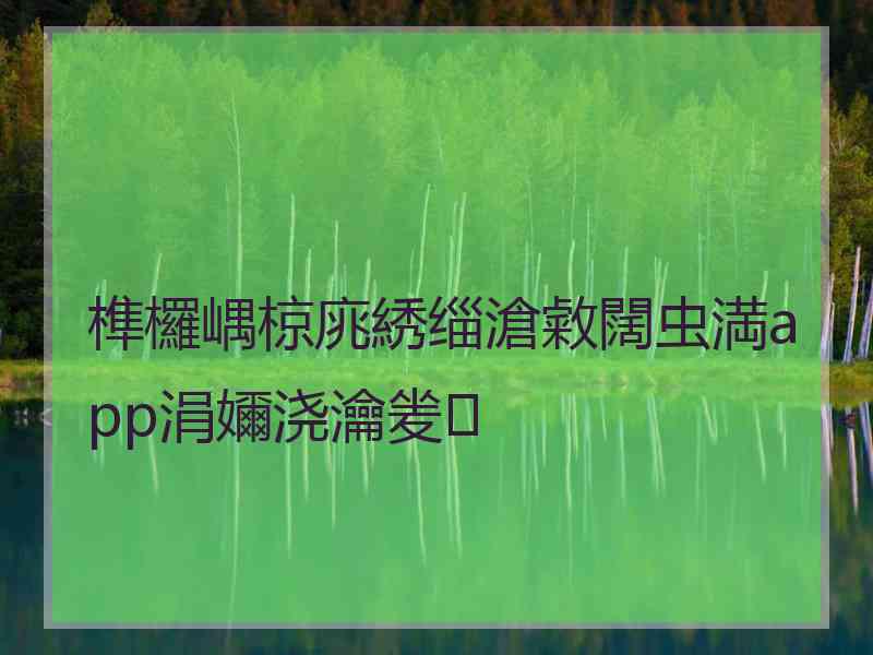 榫欏嵎椋庣綉缁滄敹闊虫満app涓嬭浇瀹夎