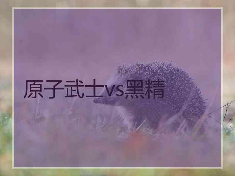 原子武士vs黑精