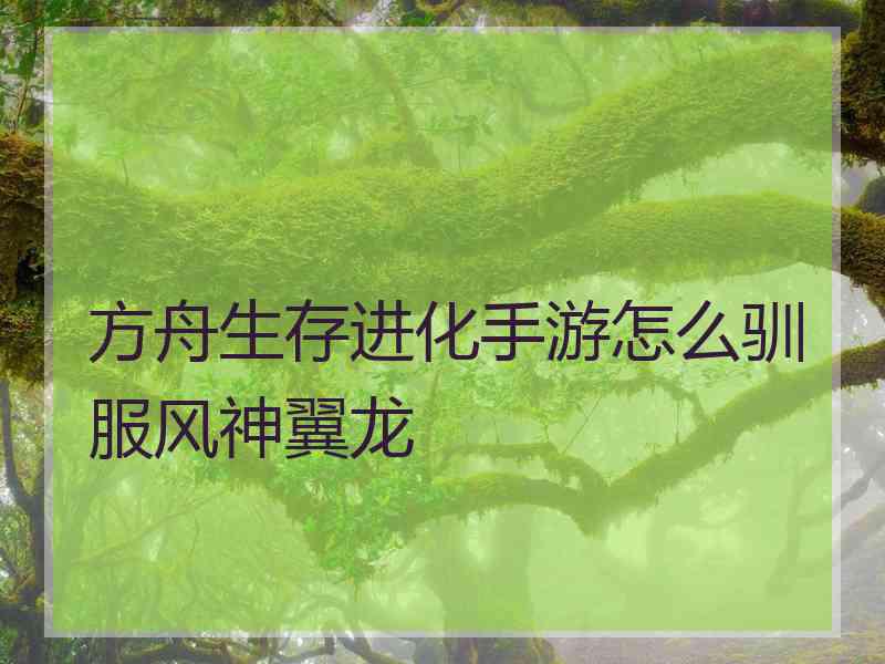 方舟生存进化手游怎么驯服风神翼龙