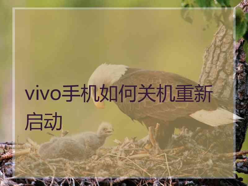 vivo手机如何关机重新启动