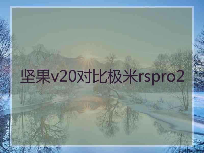 坚果v20对比极米rspro2