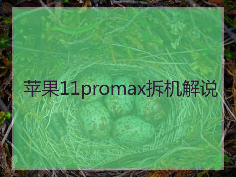 苹果11promax拆机解说