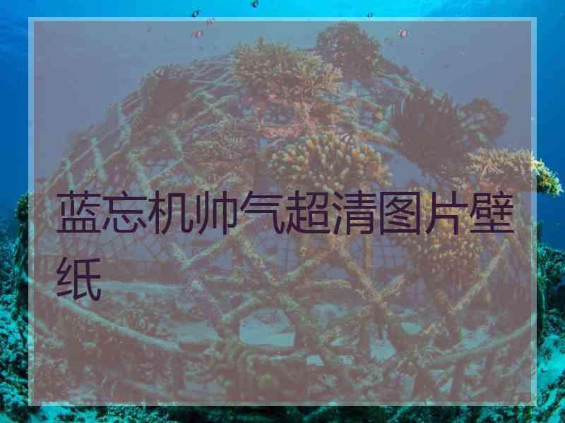 蓝忘机帅气超清图片壁纸