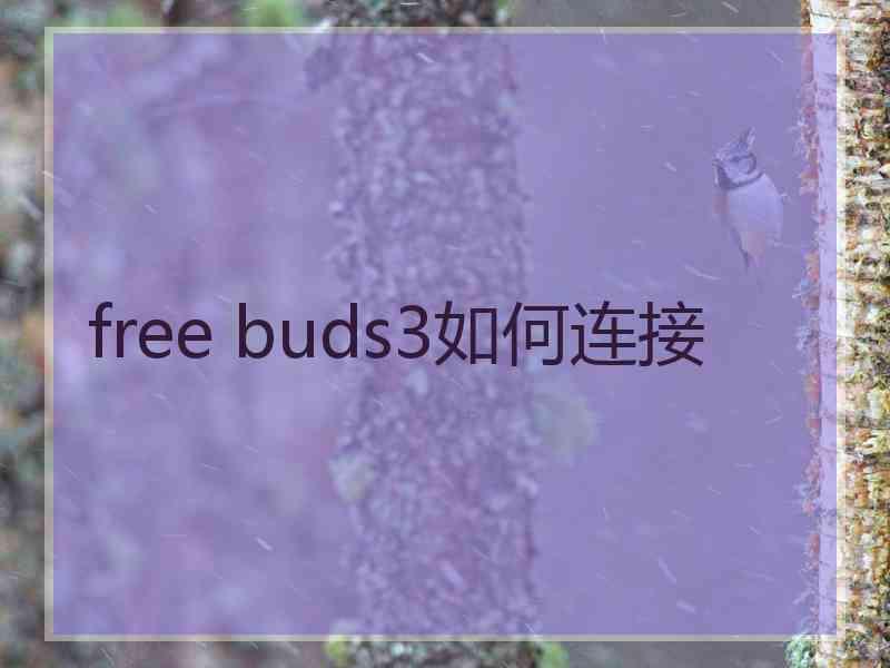 free buds3如何连接