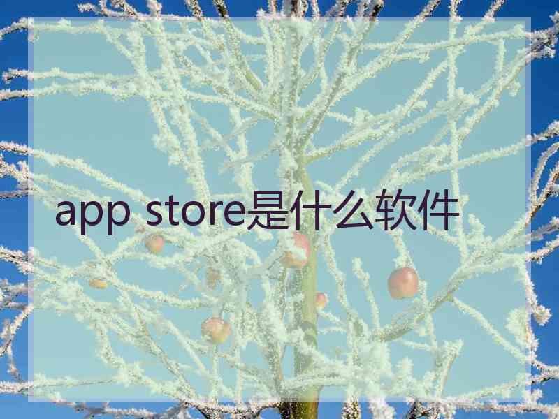 app store是什么软件