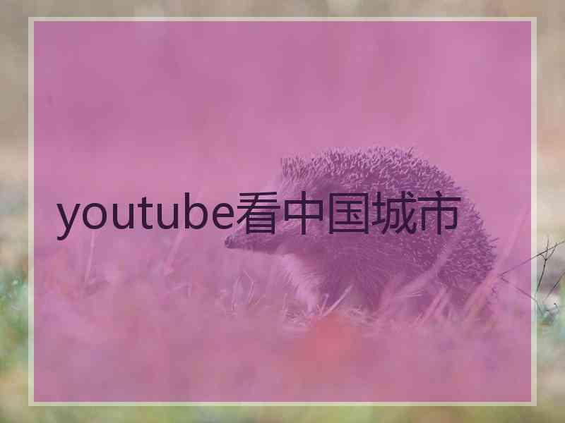 youtube看中国城市