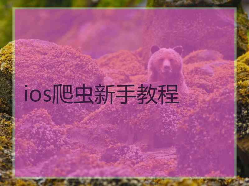 ios爬虫新手教程