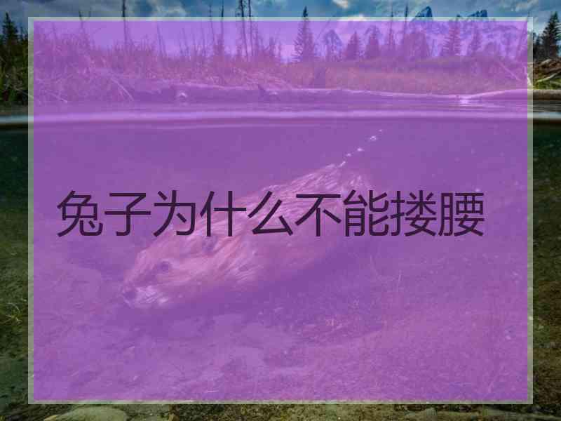 兔子为什么不能搂腰