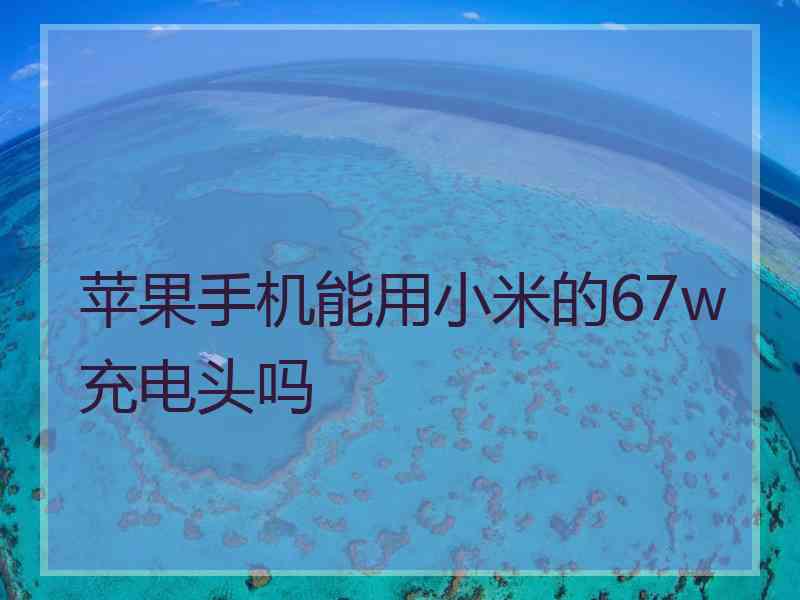 苹果手机能用小米的67w充电头吗