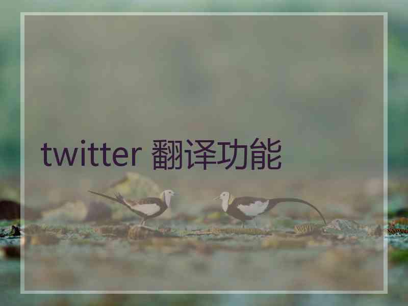 twitter 翻译功能