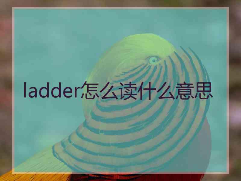 ladder怎么读什么意思