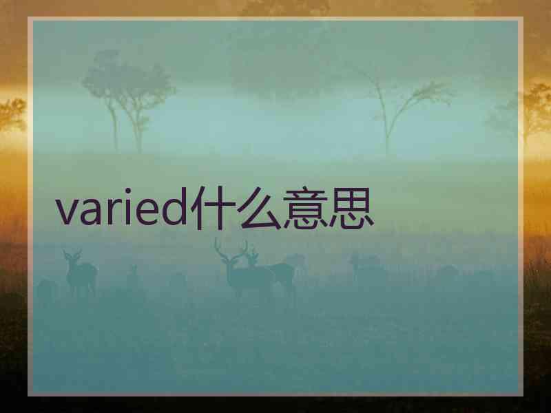 varied什么意思