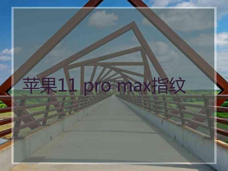 苹果11 pro max指纹