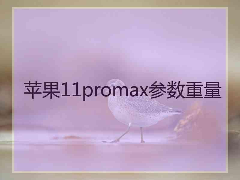 苹果11promax参数重量