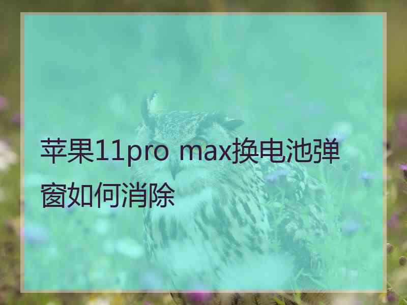 苹果11pro max换电池弹窗如何消除