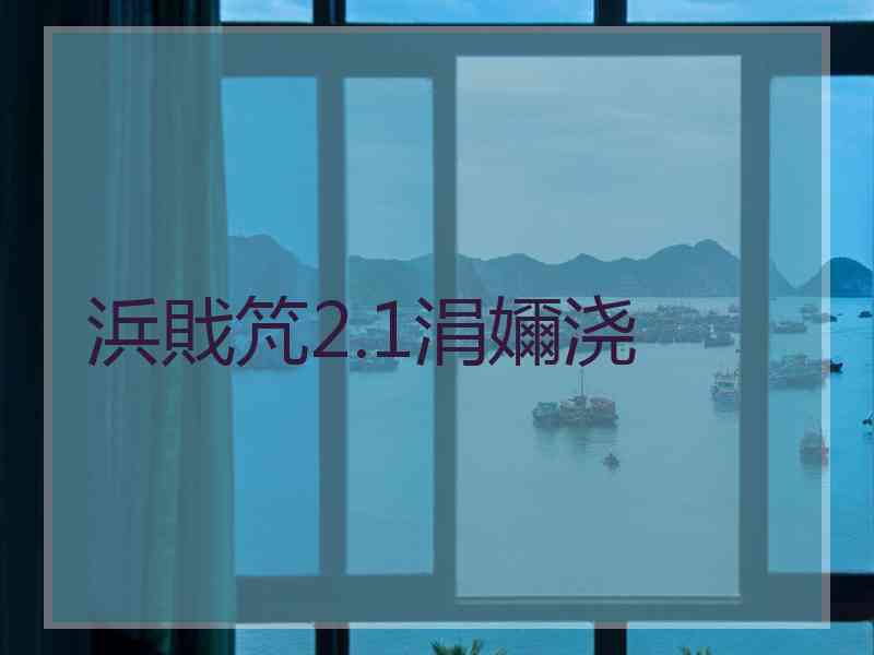 浜戝竼2.1涓嬭浇