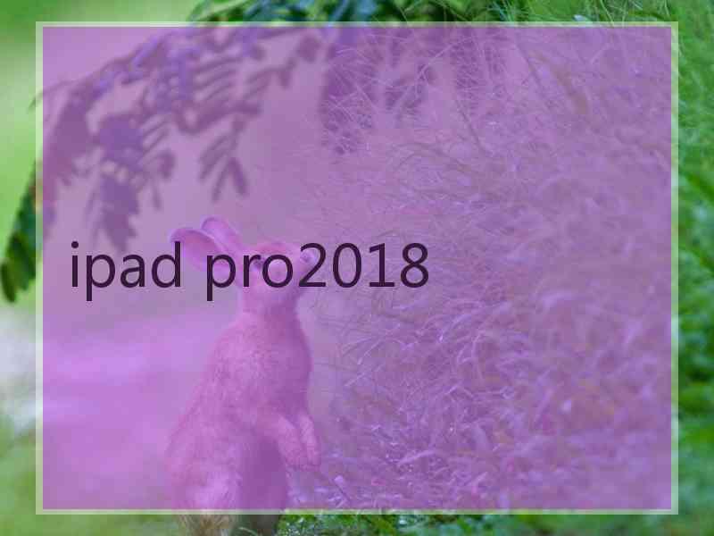 ipad pro2018