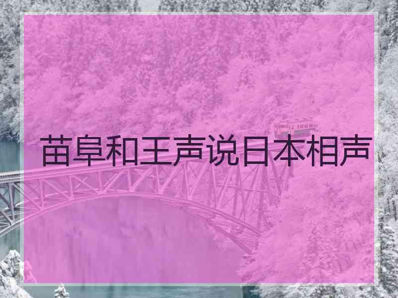 苗阜和王声说日本相声