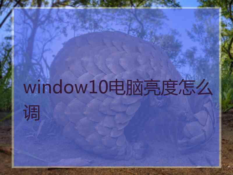 window10电脑亮度怎么调