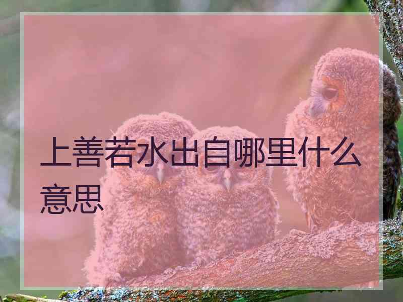 上善若水出自哪里什么意思