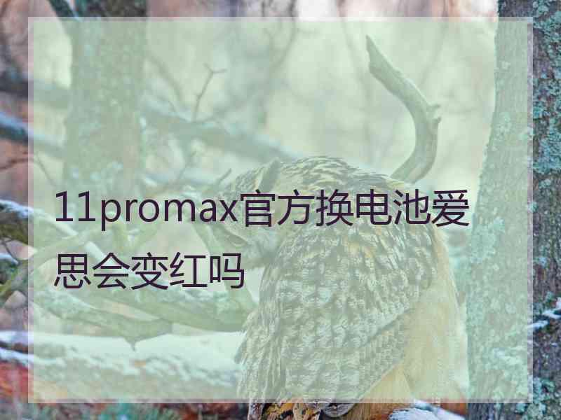 11promax官方换电池爱思会变红吗