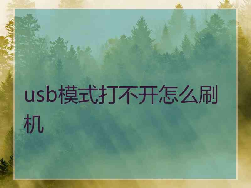 usb模式打不开怎么刷机