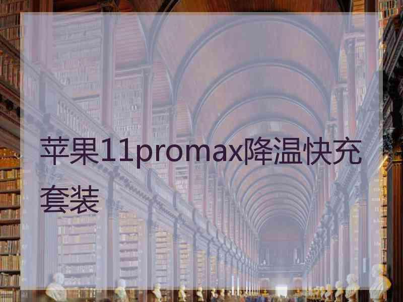 苹果11promax降温快充套装