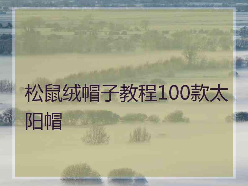 松鼠绒帽子教程100款太阳帽