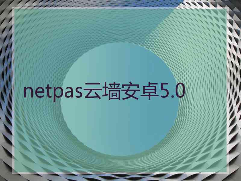 netpas云墙安卓5.0