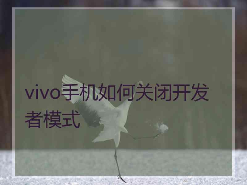 vivo手机如何关闭开发者模式