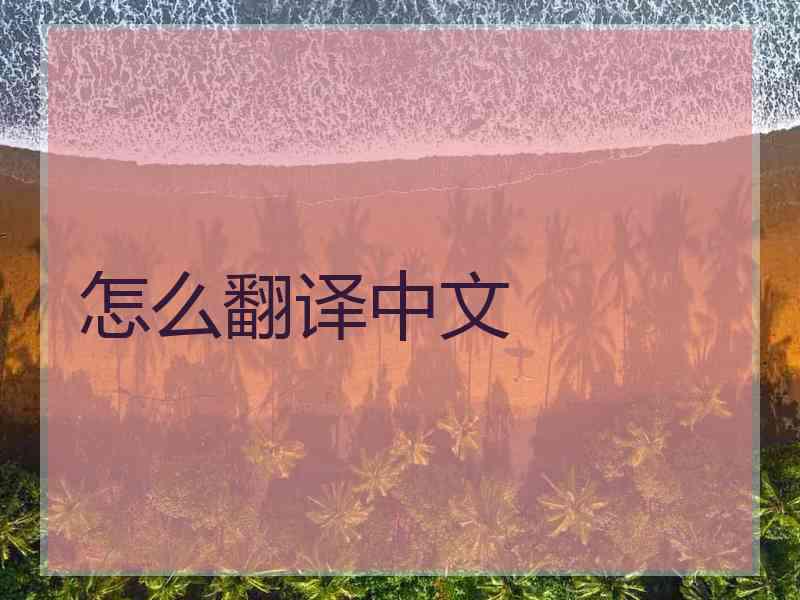 怎么翻译中文