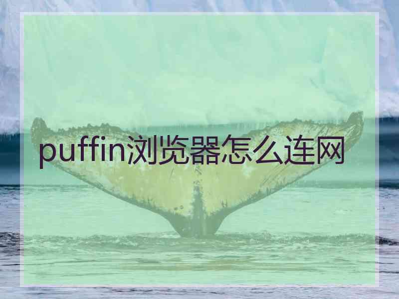 puffin浏览器怎么连网