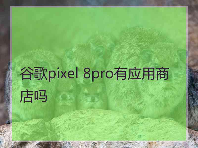 谷歌pixel 8pro有应用商店吗