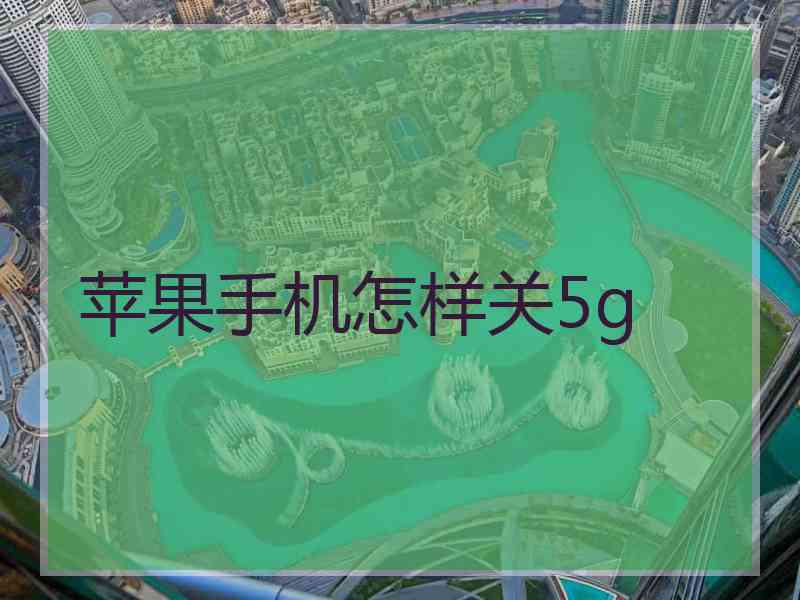 苹果手机怎样关5g