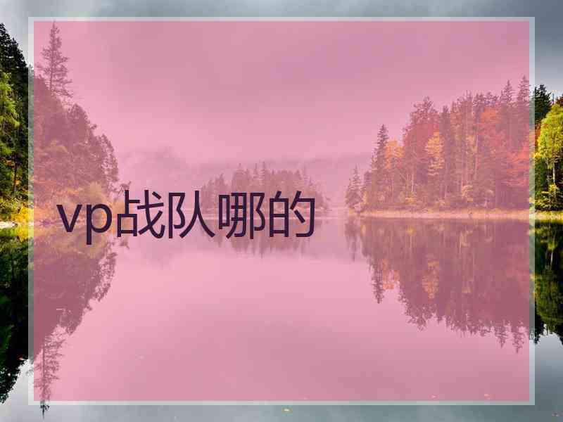 vp战队哪的