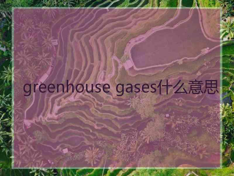 greenhouse gases什么意思