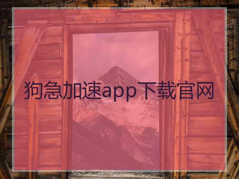 狗急加速app下载官网