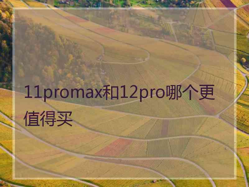 11promax和12pro哪个更值得买