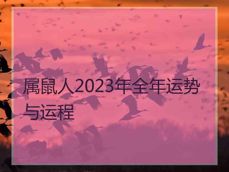 属鼠人2023年全年运势与运程