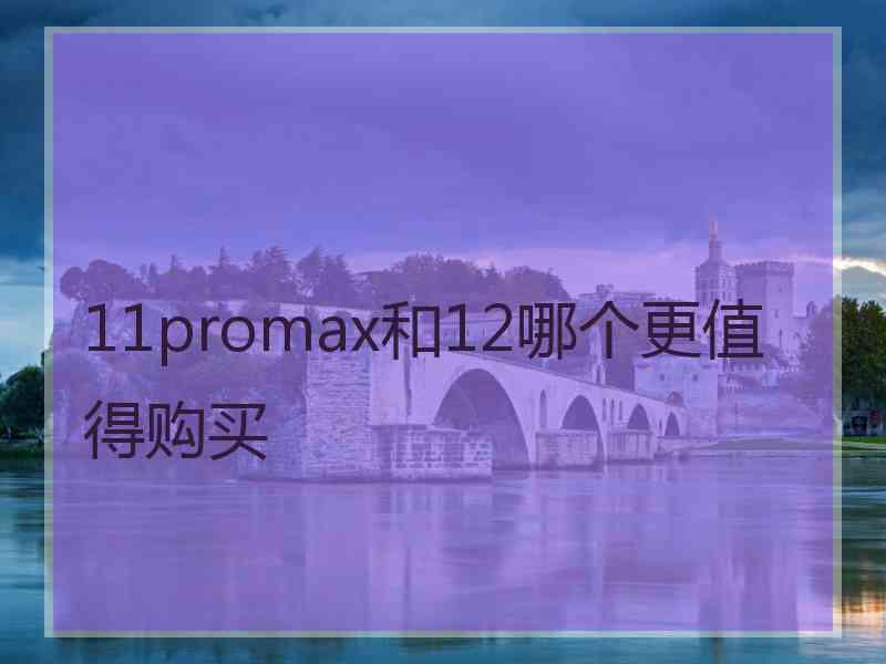 11promax和12哪个更值得购买