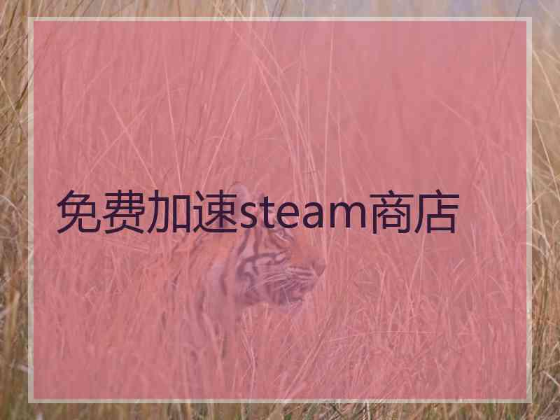 免费加速steam商店