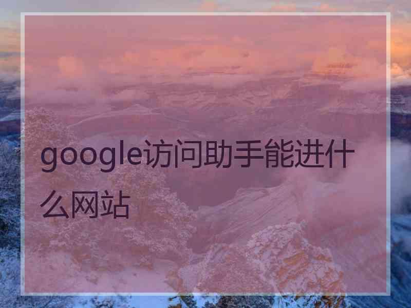 google访问助手能进什么网站