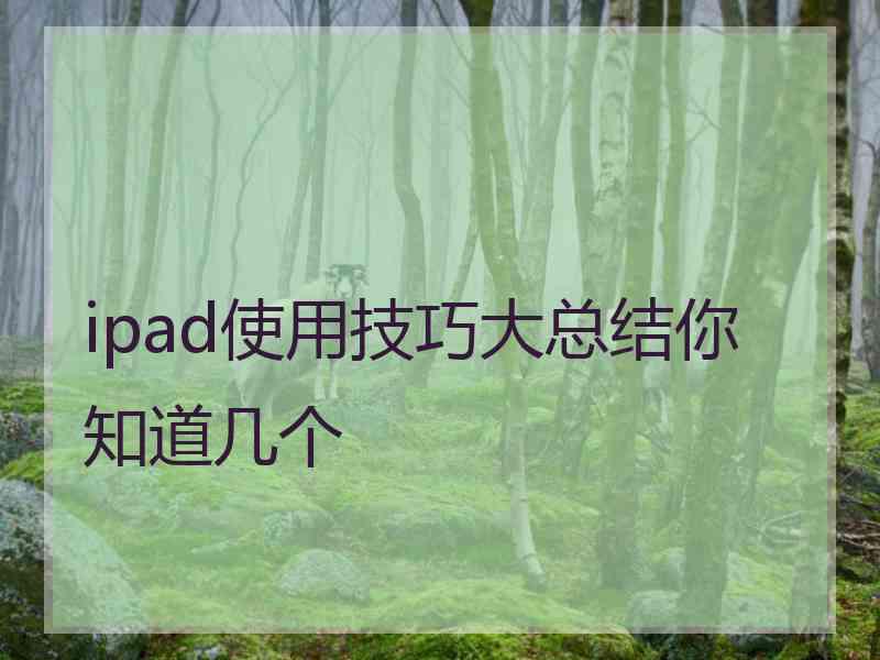 ipad使用技巧大总结你知道几个