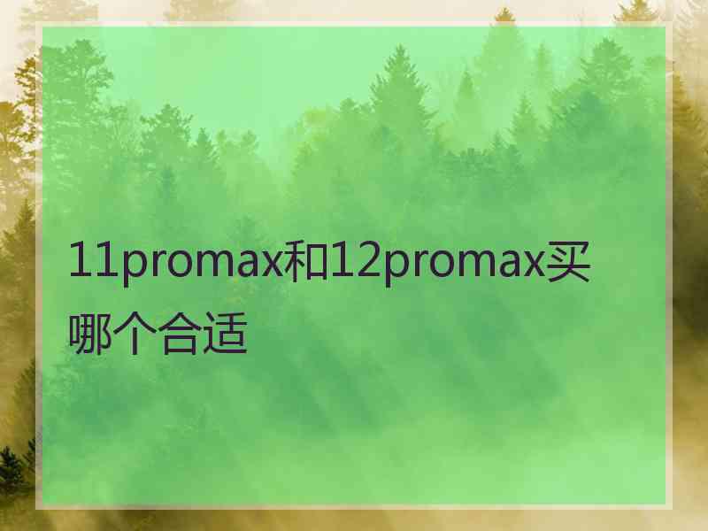 11promax和12promax买哪个合适