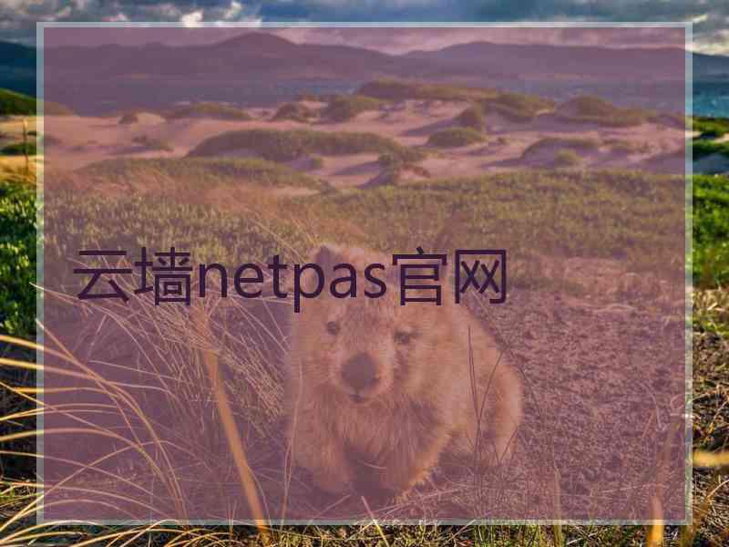 云墙netpas官网